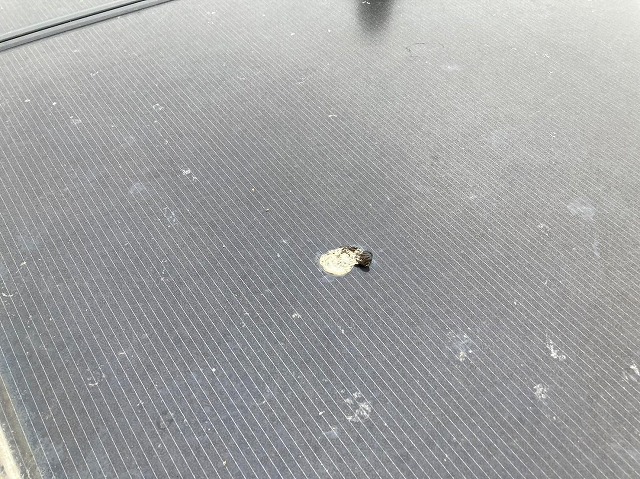 モジュールに付着した鳥の糞の拡大画像